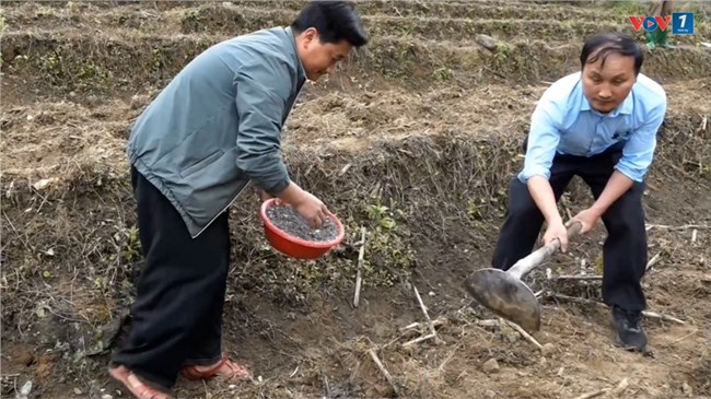 Phát huy năng lực cán bộ trẻ người dân tộc thiểu số ở vùng cao Trạm Tấu (19/08/2024)